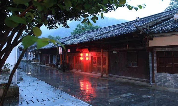 了解冒名顶替上大学陈某说是去世舅妈找中介做的材料,可信吗?,探索知识星球的精彩世界